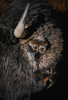 South Dakota